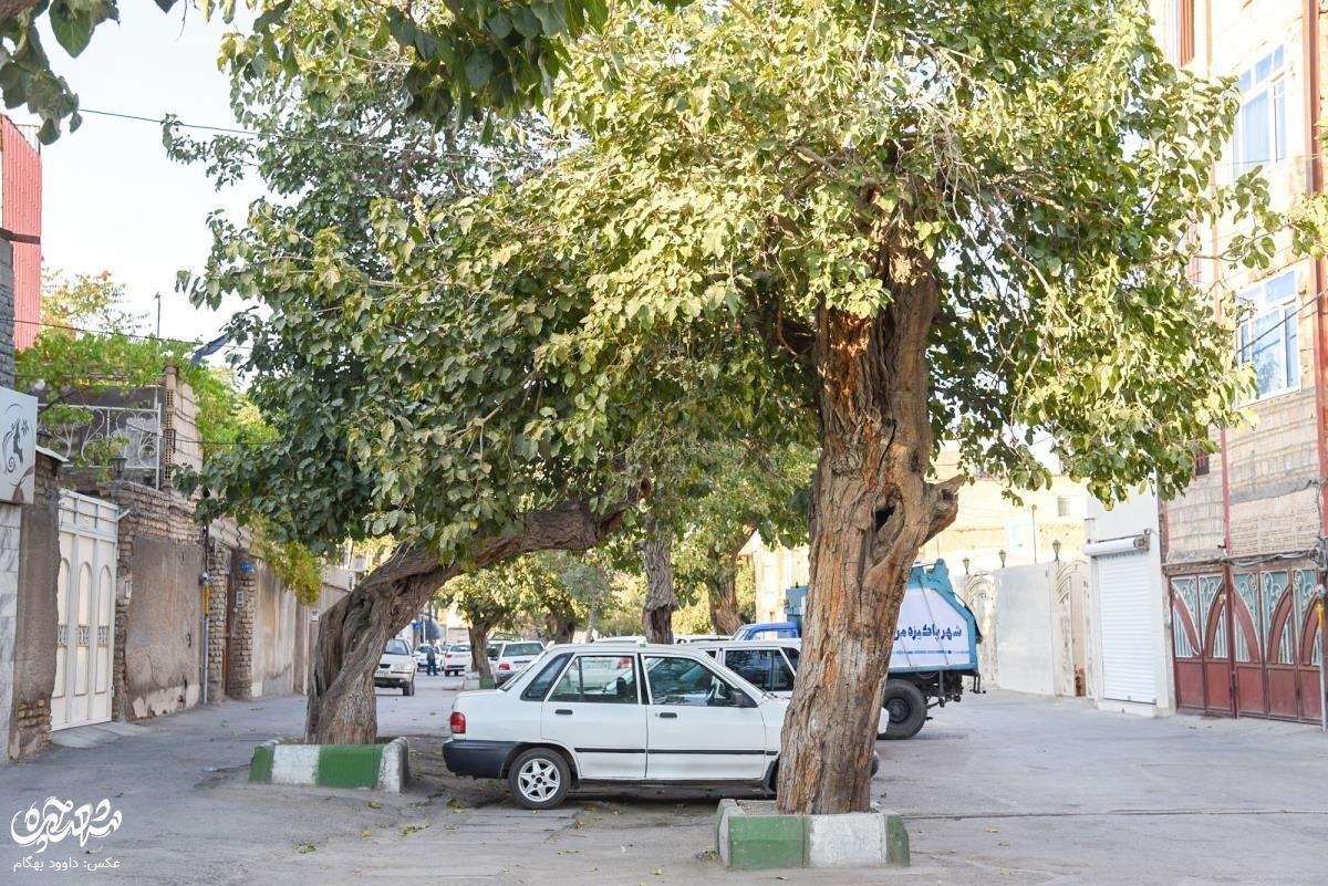 مهرآباد؛ محله مهاجرپذیر مشهد مهرآباد؛ محله مهاجرپذیر مشهد
