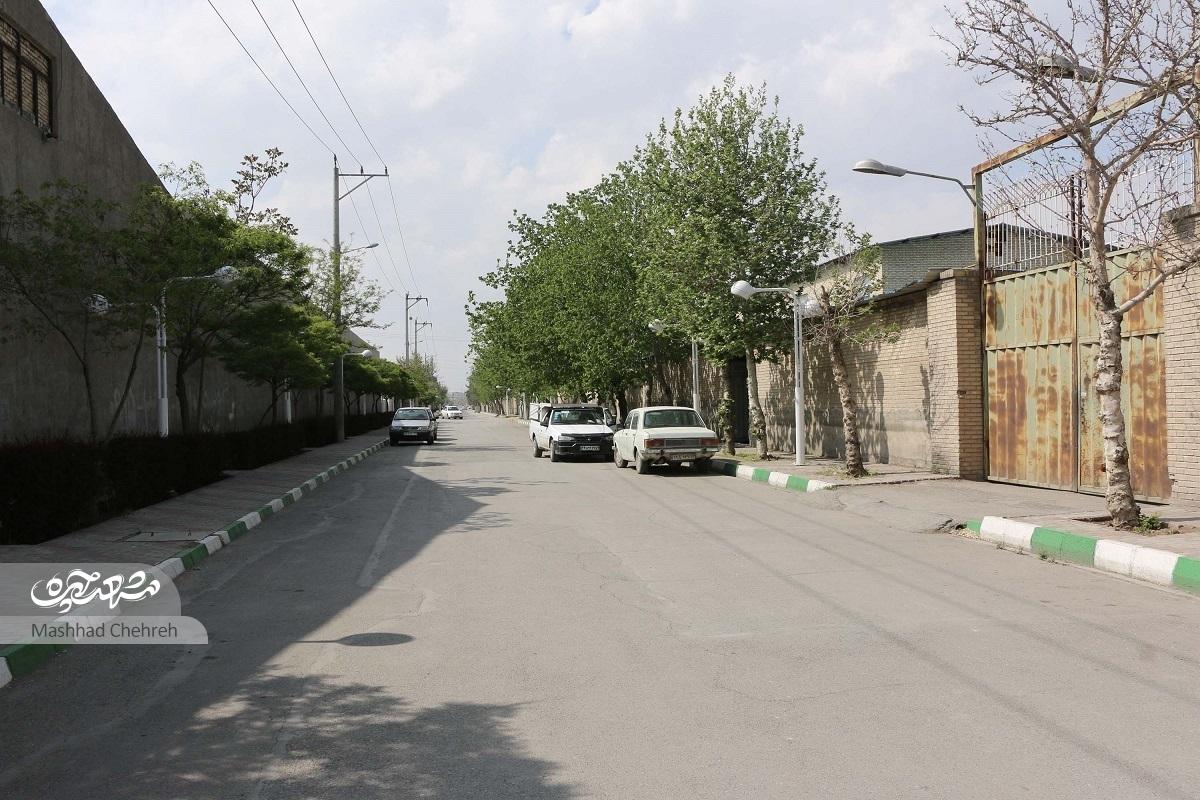 امیریه؛ محله در حال رشد منطقه ۱۲ امیریه؛ محله در حال رشد منطقه ۱۲