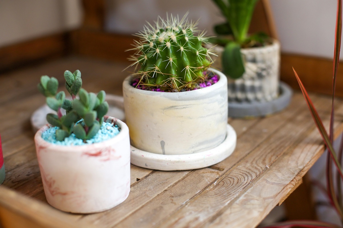 همبستگی در کارگاه کوچک خانگی همبستگی در کارگاه کوچک خانگی