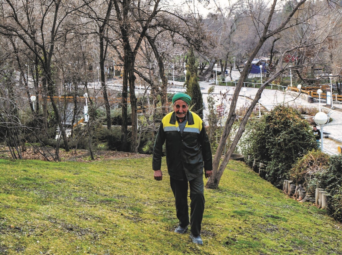 باغبان باغ وکیل آباد باغبان باغ وکیل آباد