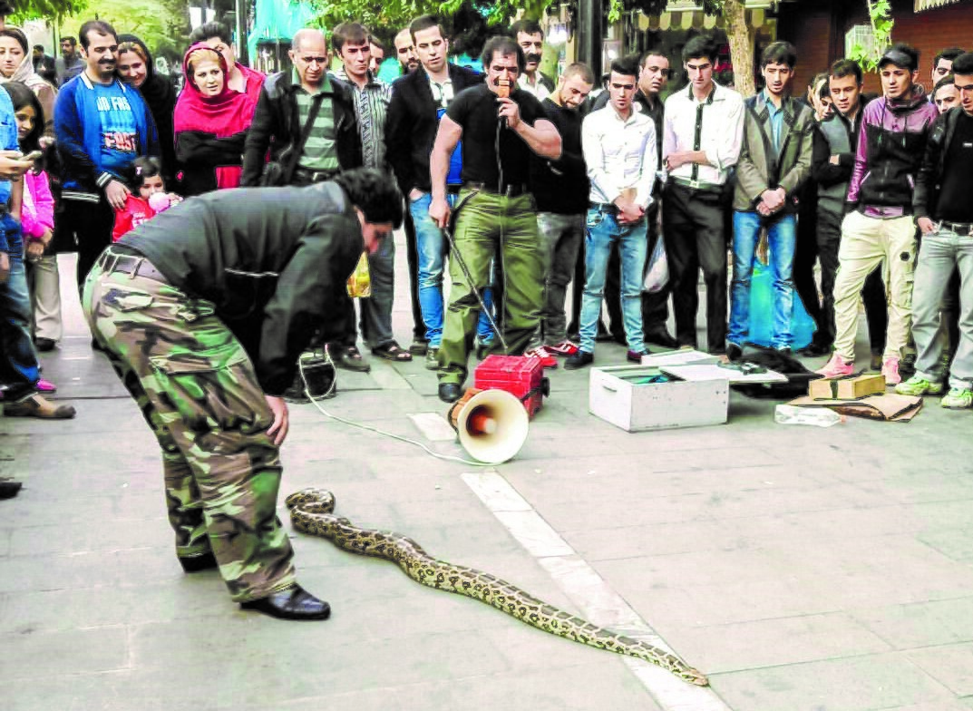 روایتی از یک معرهگیری در دل قاسمآباد روایتی از یک معرهگیری در دل قاسمآباد