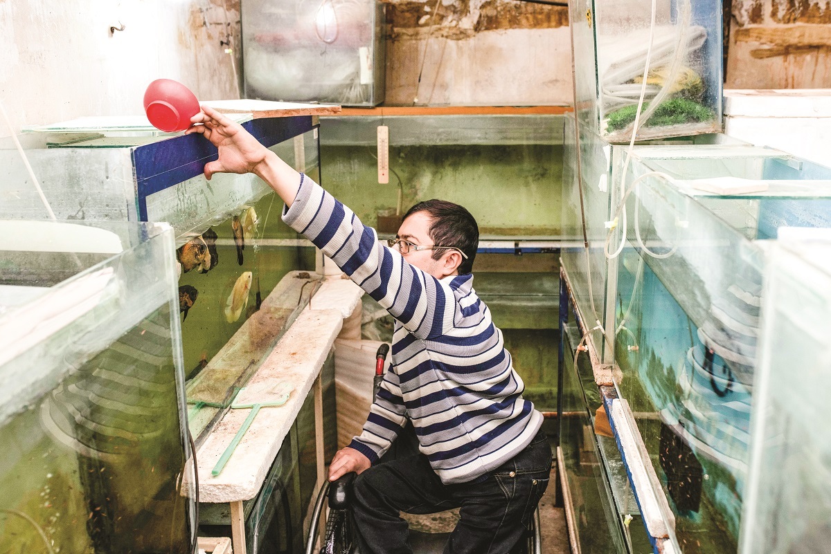 هادی پیوندی درحال رسیدگی به ماهی قرمزهای نوروزی هادی پیوندی درحال رسیدگی به ماهی قرمزهای نوروزی