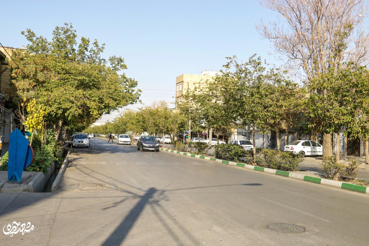 خیابان حبیب‌بن‌مظاهر،خواربارفروشی‌ها در کنار هم 