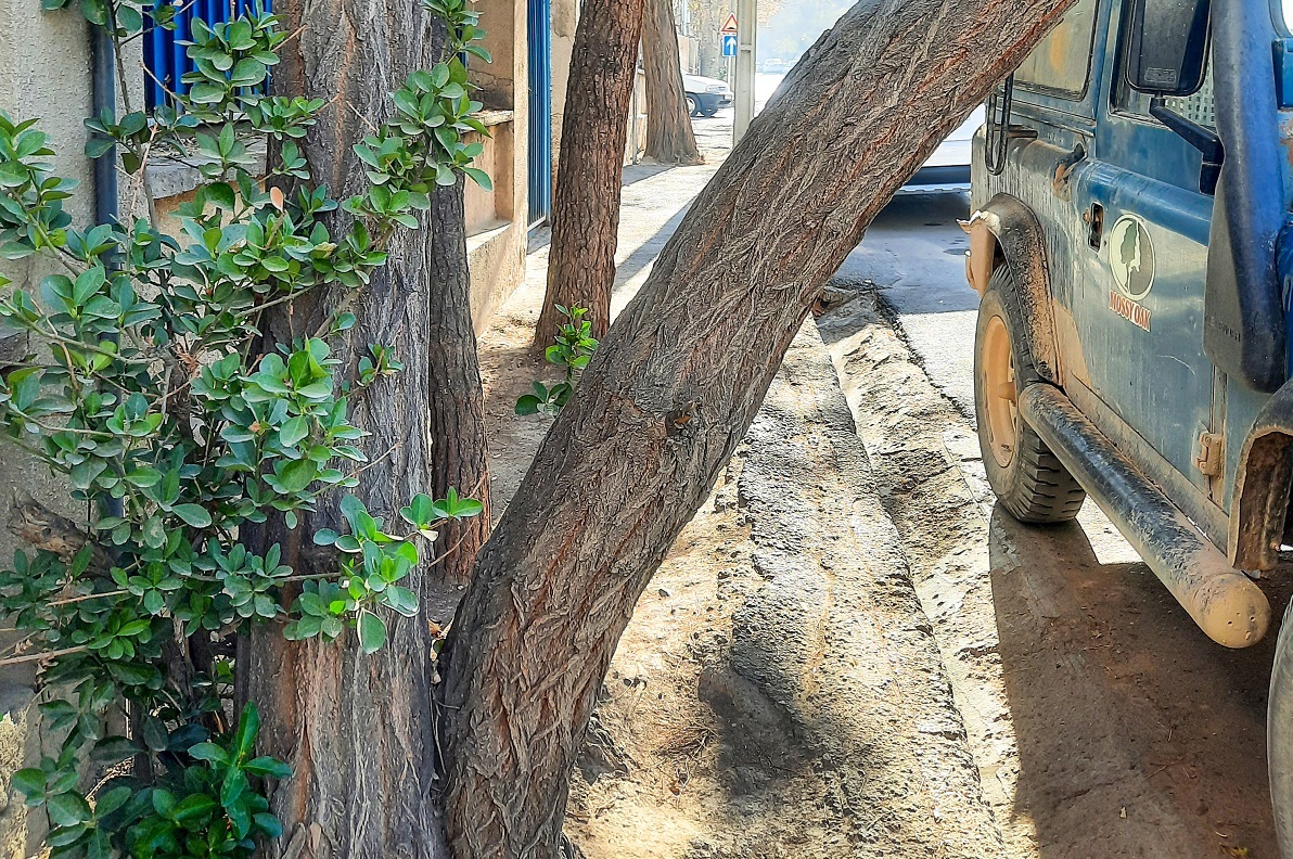 کوچه مدرسه در کوی‌پلیس