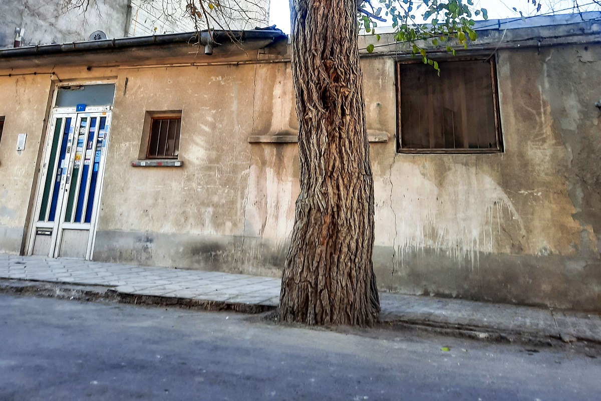 کوچه مدرسه در کوی‌پلیس