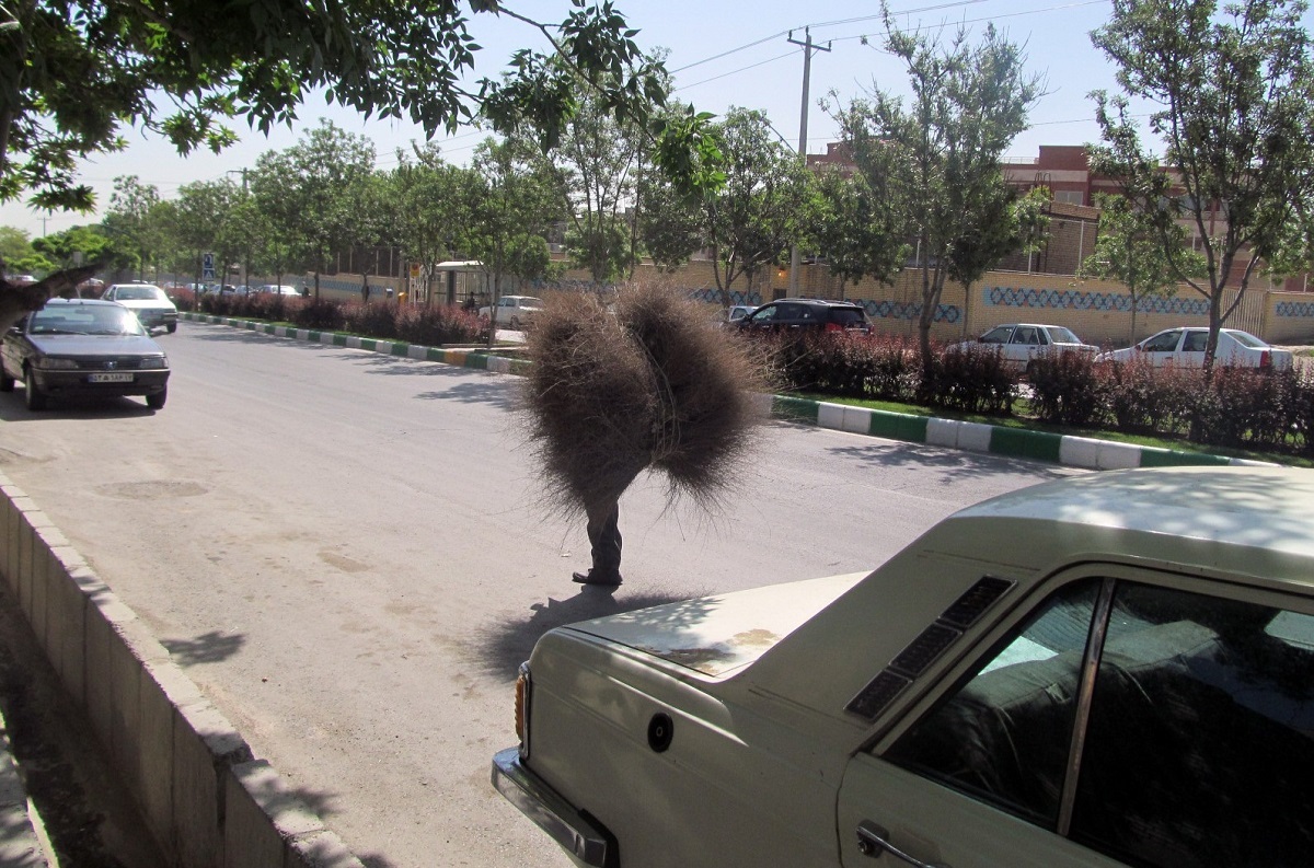 پیرمردی که از راه خارکنی و فروش آن روزگار میگذراند پیرمردی که از راه خارکنی و فروش آن روزگار میگذراند