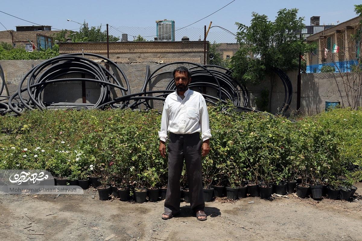 جوادآقا روزی ۲ هزار شاخه گل را قلمه می‌زند