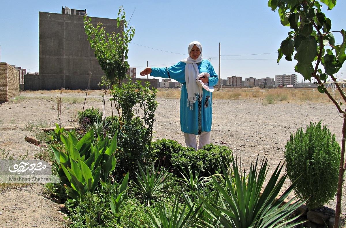 مرضیه حسینی با کاشت مجدد گل و گیاه دور ریخته شده در پارک‌ها محله‌اش را سبز کرده است