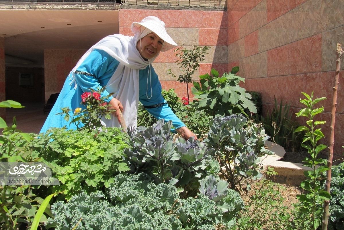 مرضیه خانم گل و گیاه دور ریخته شده در پارک‌ها را زنده می‌کند