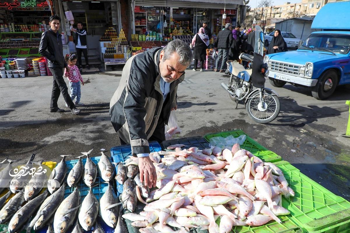 معرفی ظرفیتهای فرهنگی و گردشگری تاجرآباد و شهرک عربها معرفی ظرفیتهای فرهنگی و گردشگری تاجرآباد و شهرک عربها