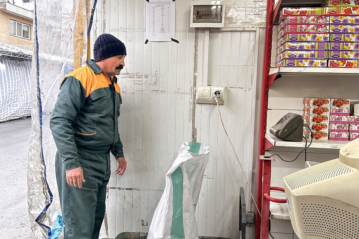 یافتن پرنده غیب شده