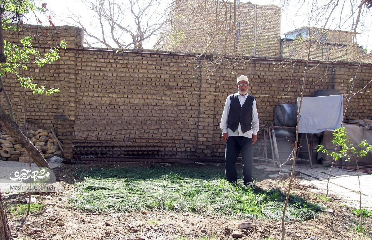 «حاجحسن شاهدی»؛ پدربزرگ ۱۰۱ زن و مرد پیر، جوان، نوجوان و کودک محله وکیلآباد است «حاجحسن شاهدی»؛ پدربزرگ ۱۰۱ زن و مرد پیر، جوان، نوجوان و کودک محله وکیلآباد است