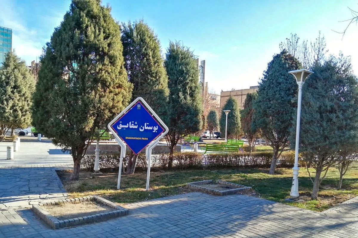 زندگی درکنار صف گاز زندگی درکنار صف گاز