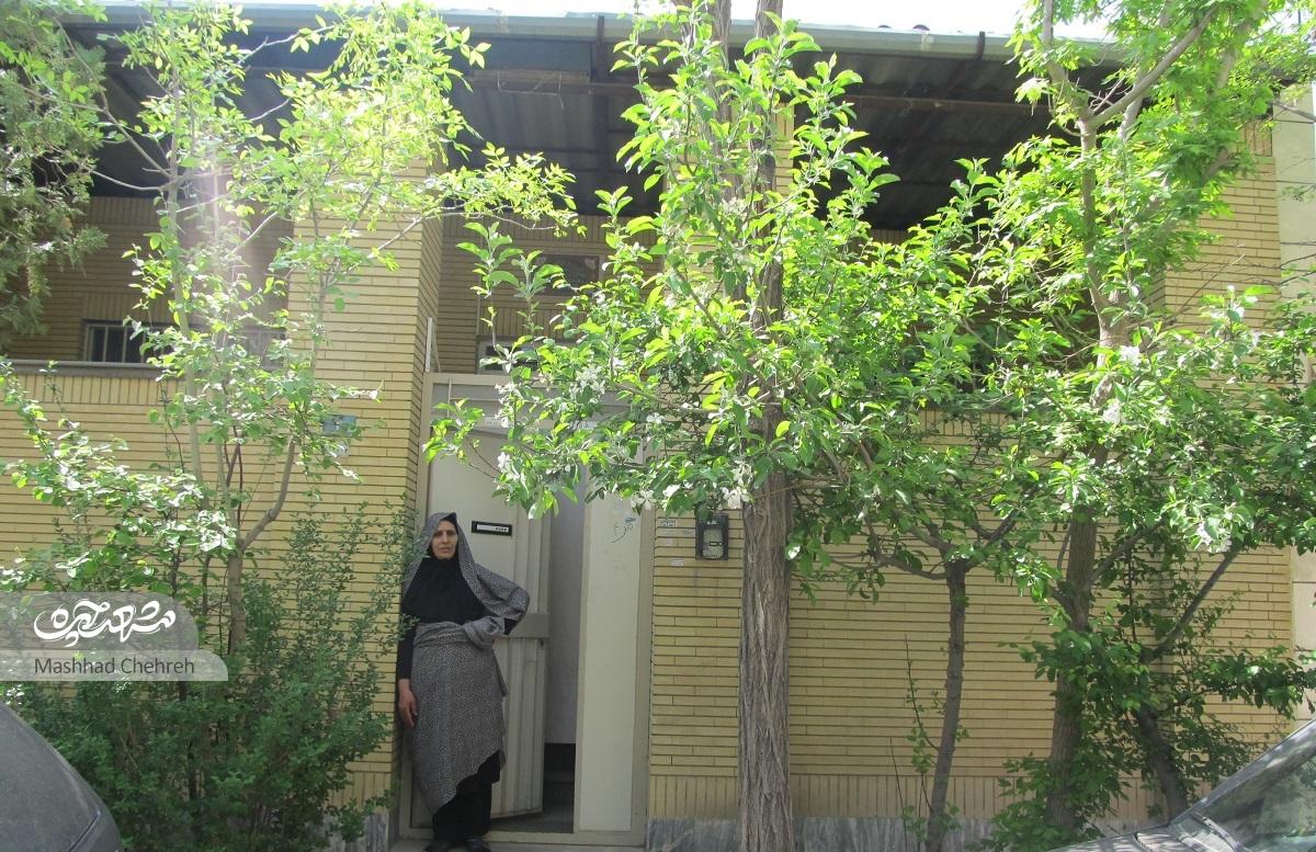 درخت و گلدان‌های خانه شایسته خانم با مهربانی او جان گرفته‌اند