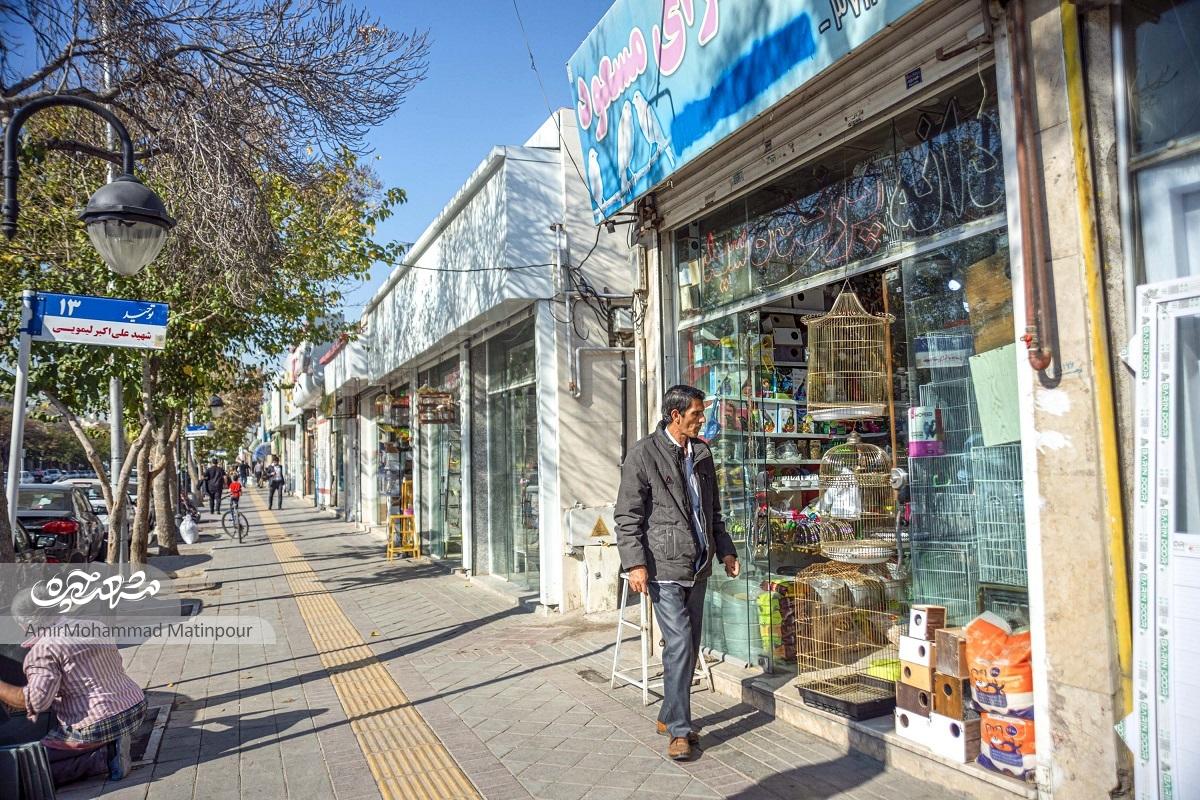 کوچ پرندگان از میدان شهدا