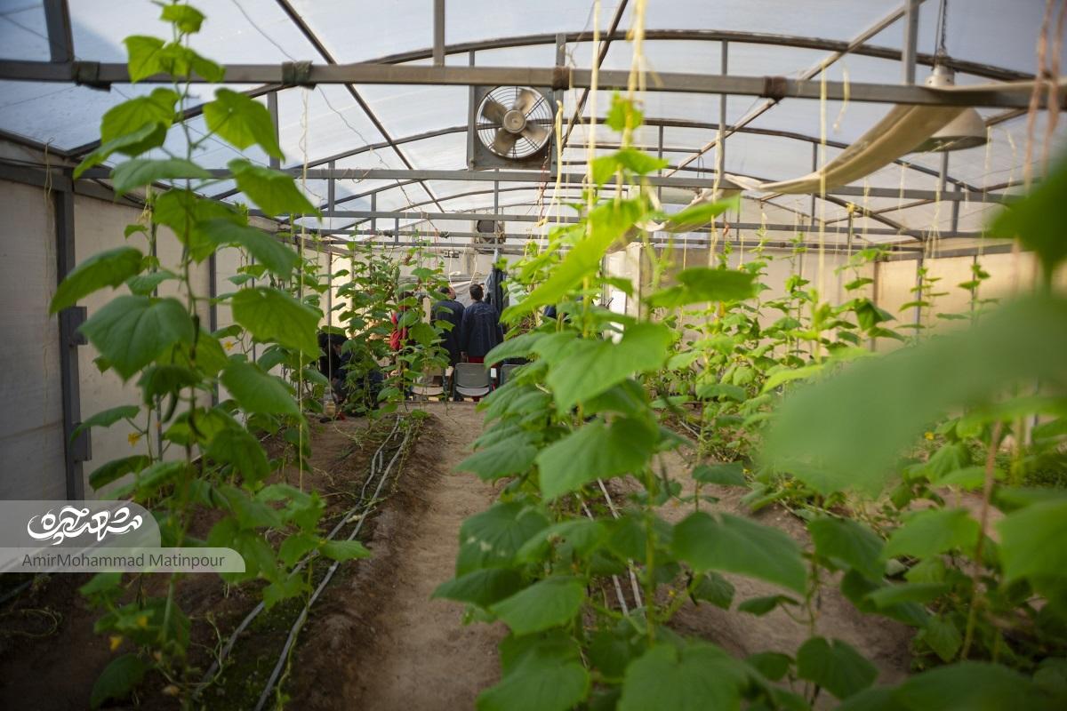 شگفتی‌های «آفرینش»