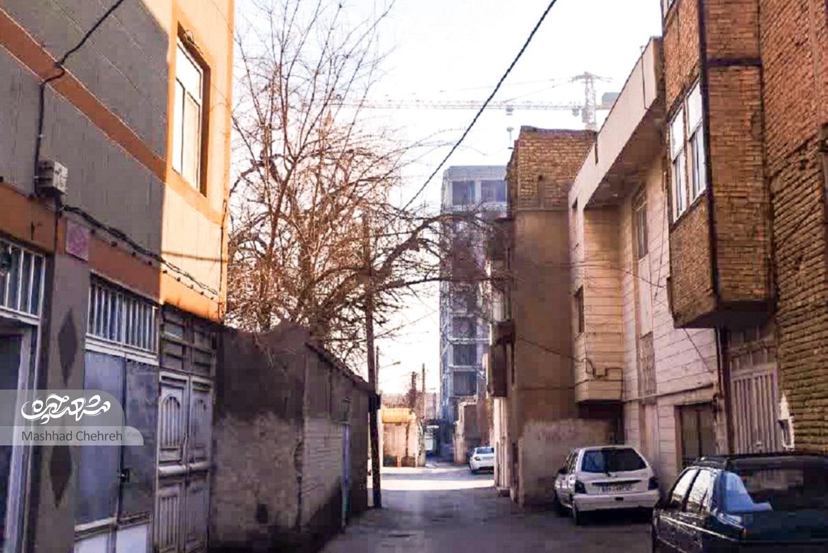 درباره کوچه رضوان ۱۱ که تاریخش با پایتختی مشهد گره خورده است درباره کوچه رضوان ۱۱ که تاریخش با پایتختی مشهد گره خورده است