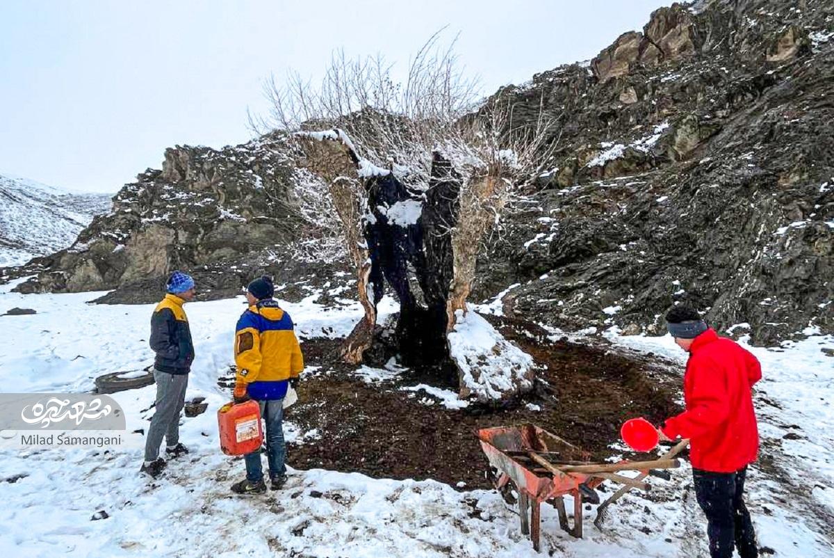 احیای یک چنار خشکیده ۷۰۰ ساله در محدوده کوه‌های خلج مشهد