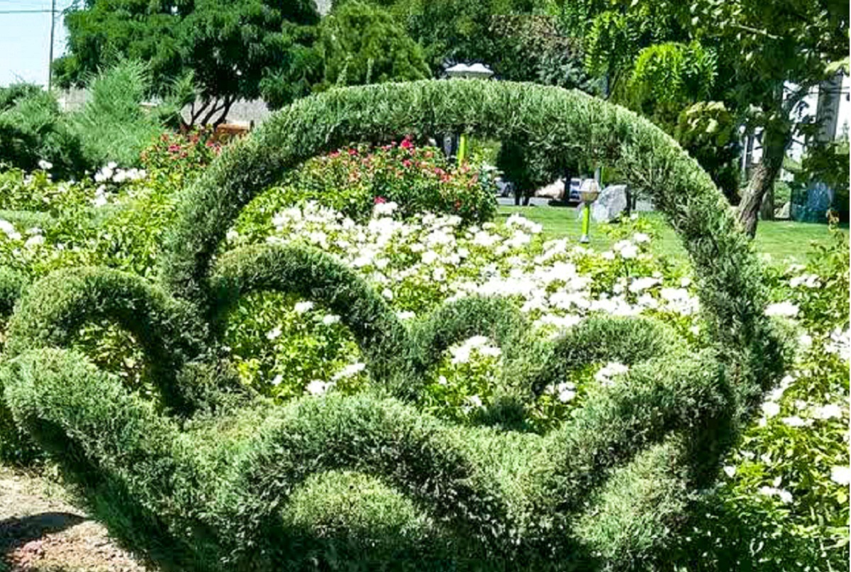 آرایشگر مهربان درختان