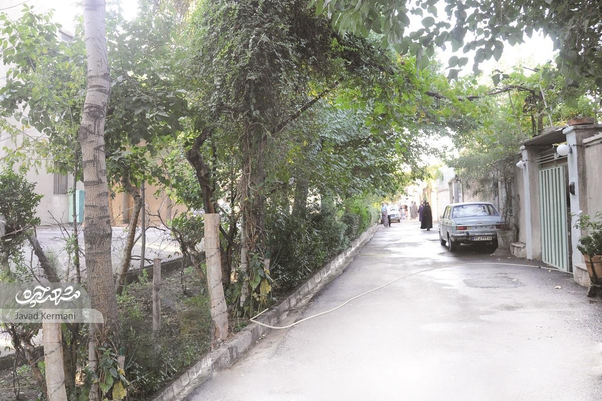 کوچه باغ صمیمیت