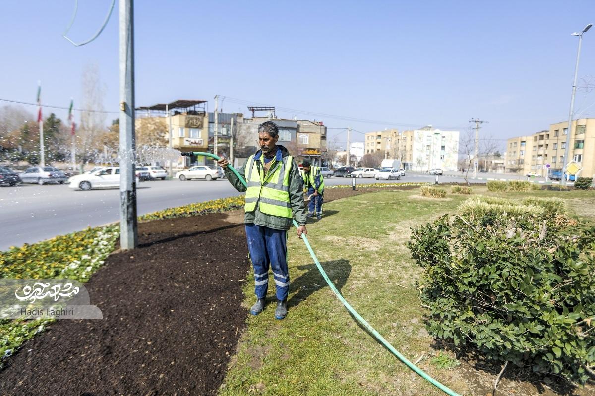 آراستن طاووس الهیه به بهار