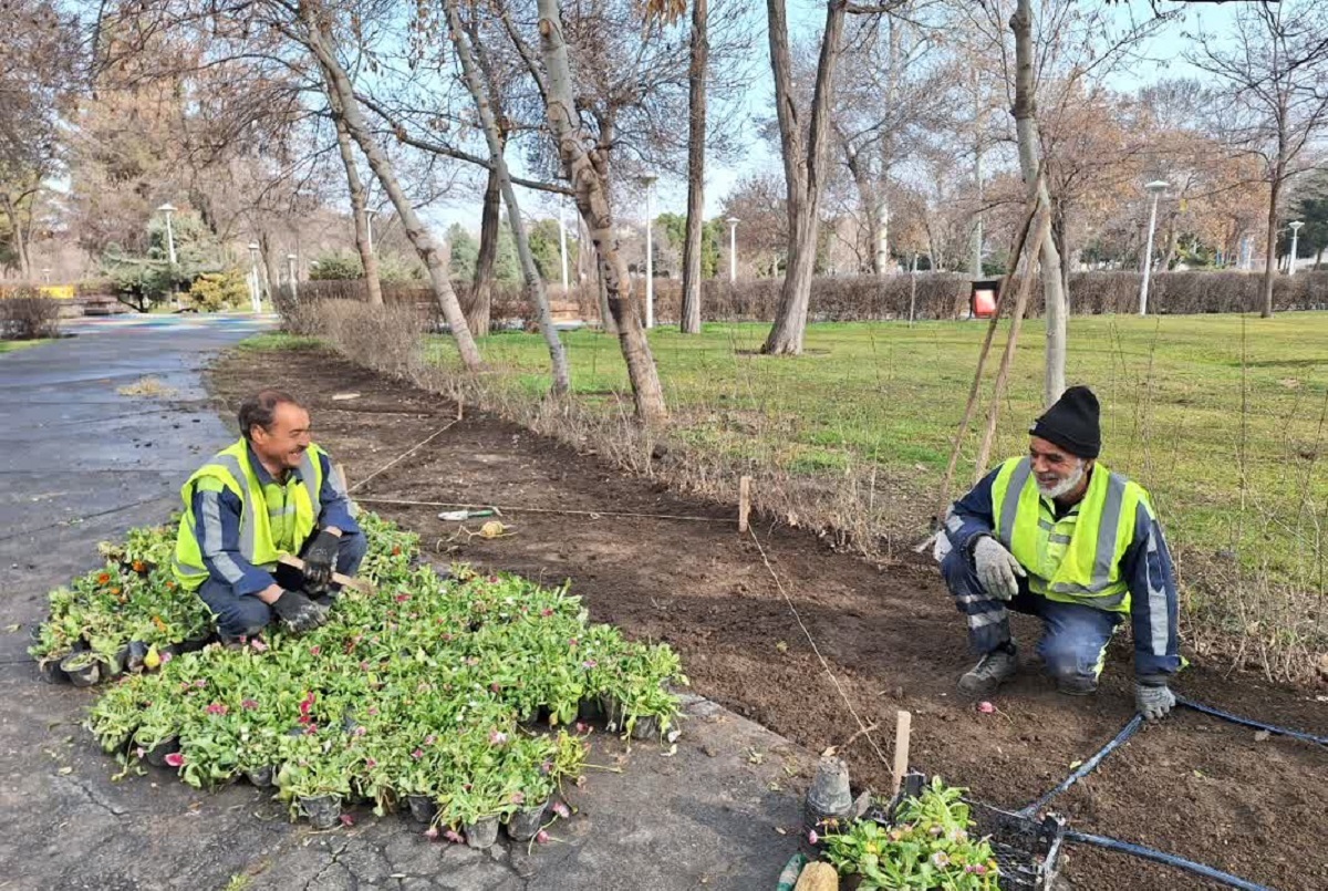 همدم گلهای رنگارنگ همدم گلهای رنگارنگ