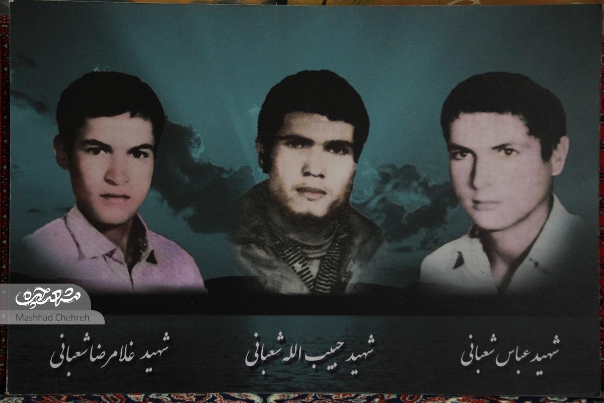 خانواده شعبانی از ابتدای جنگ با ۳ شهید و ۲ جانباز، خودشان را وقف میهن کردند خانواده شعبانی از ابتدای جنگ با ۳ شهید و ۲ جانباز، خودشان را وقف میهن کردند