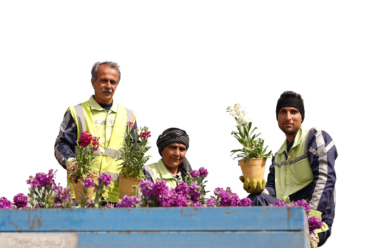 روایت مردی که ۱۲ سال است شهر را برایمان زیبا می‌کند