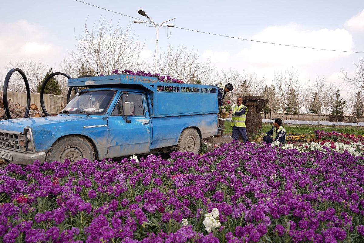 روایت مردی که ۱۲ سال است شهر را برایمان زیبا می‌کند