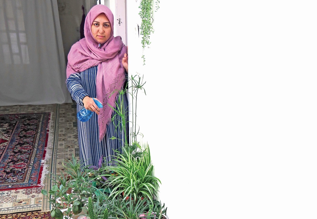 کمک به اقتصاد خانواده با پرورش گل‌های آپارتمانی