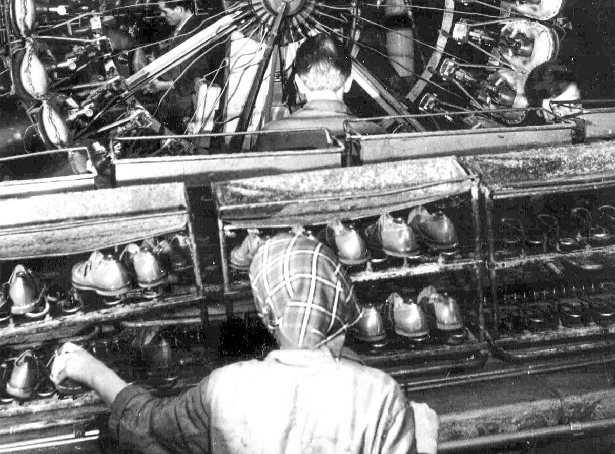 ماجرای فیل خاکستری روایتی از یک نشان ملی در تاریخ کفش مشهد ماجرای فیل خاکستری روایتی از یک نشان ملی در تاریخ کفش مشهد