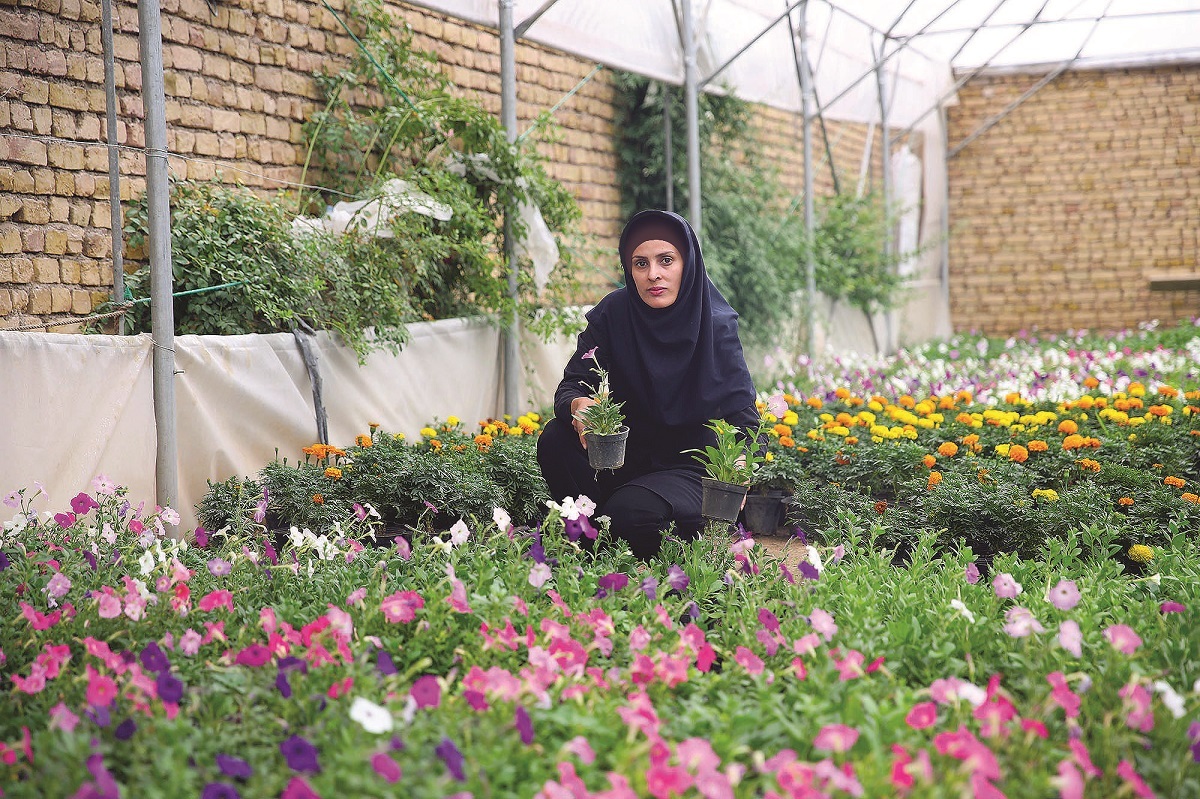 کارآفرینی با گل‌های یگانه خانم