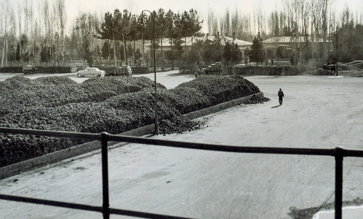 درباره یکی از کارخانه‌های صنعتی شهر که دیرزمانی است کارش به تعطیلی کشیده شده است