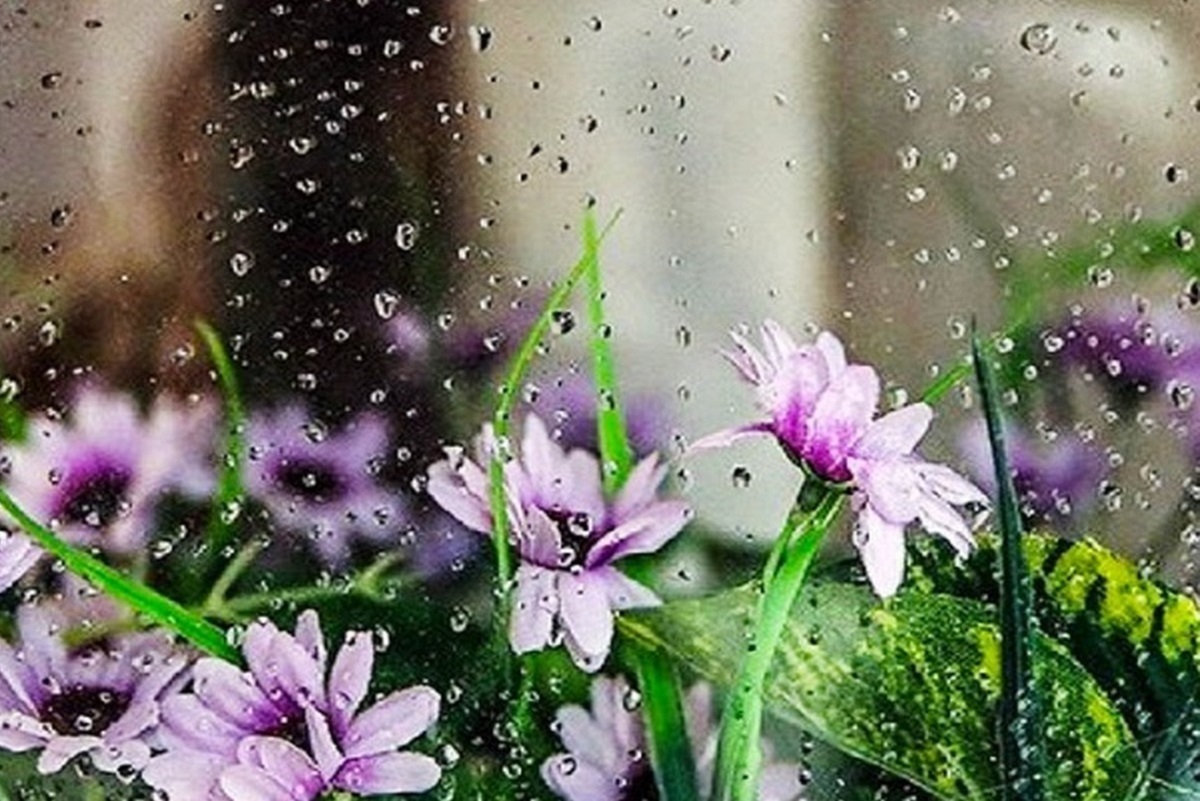 چولیقزک؛ عروسک بارانخواهی خراسانیها چولیقزک؛ عروسک بارانخواهی خراسانیها