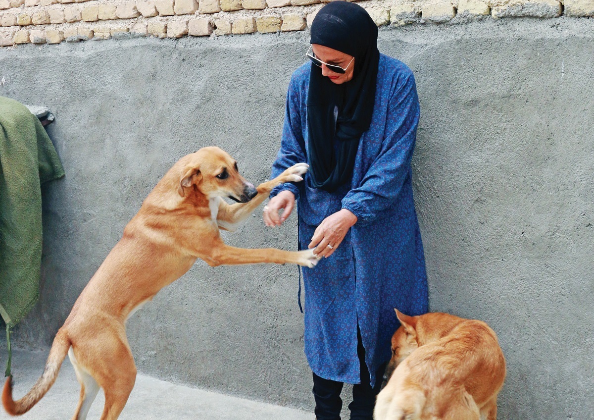 روایتی از پناهگاه حیوانات مهر مشهد که حامی حیوانات بی سر و پناه است