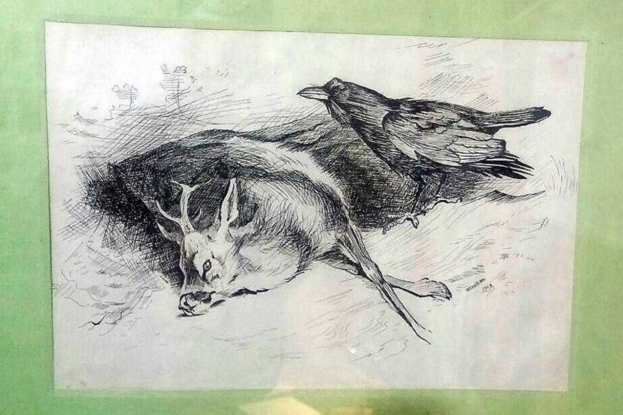 آثار حمید ظهوران، گرافیست به نام مشهدی