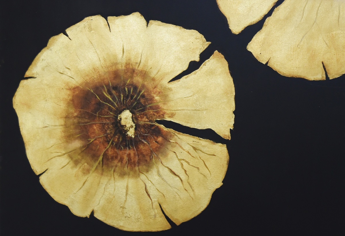 ساره سرگلزایی از ۵ نمایشگاه هنریاش میگوید ساره سرگلزایی از ۵ نمایشگاه هنریاش میگوید