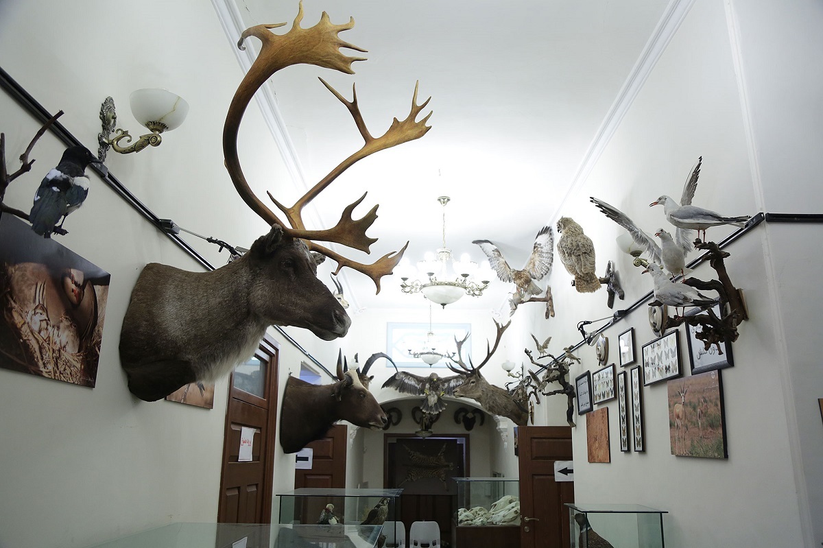 کاملترین موزۀ تاکسیدرمی خاورمیانه در باغ وکیلآباد قرار دارد کاملترین موزۀ تاکسیدرمی خاورمیانه در باغ وکیلآباد قرار دارد