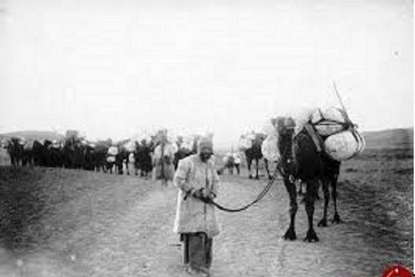 مشهد سیاحان