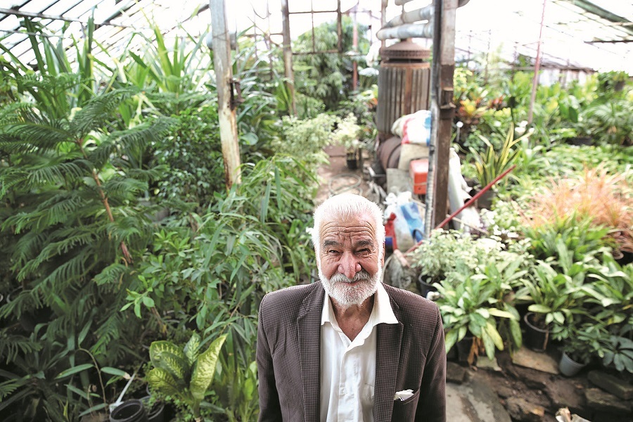 بهشت «پایدار» بهشت «پایدار»