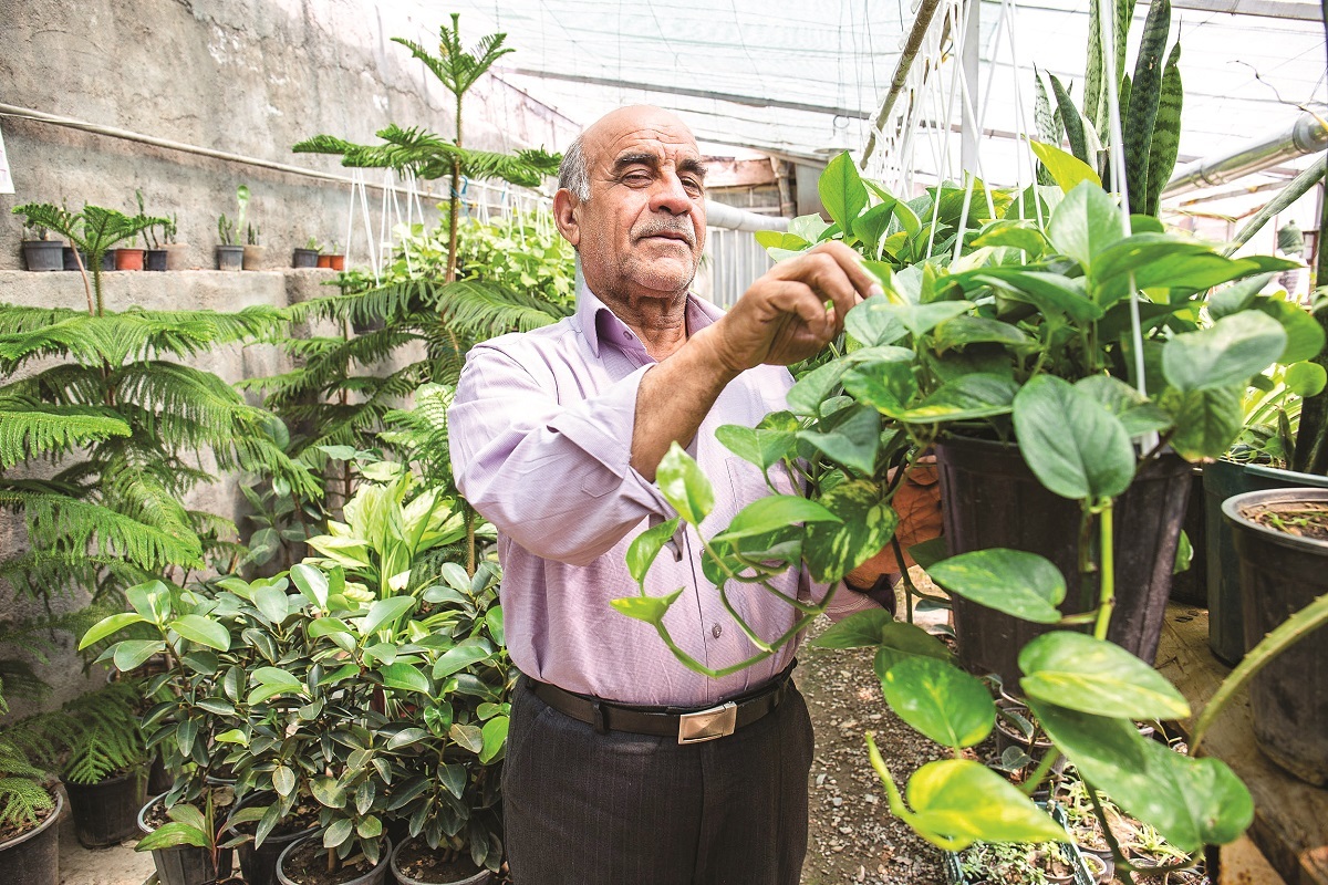 گلخانۀ عـدالت گلخانۀ عـدالت