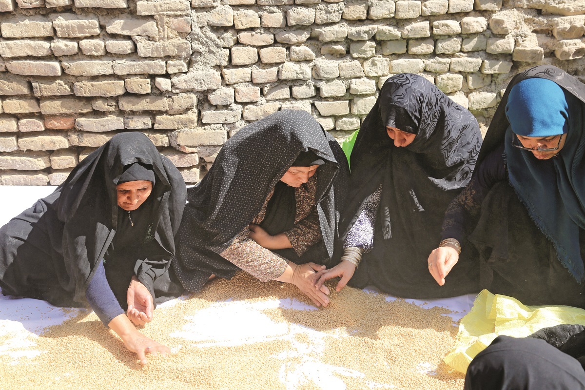 بوی خوش نذری بوی خوش نذری