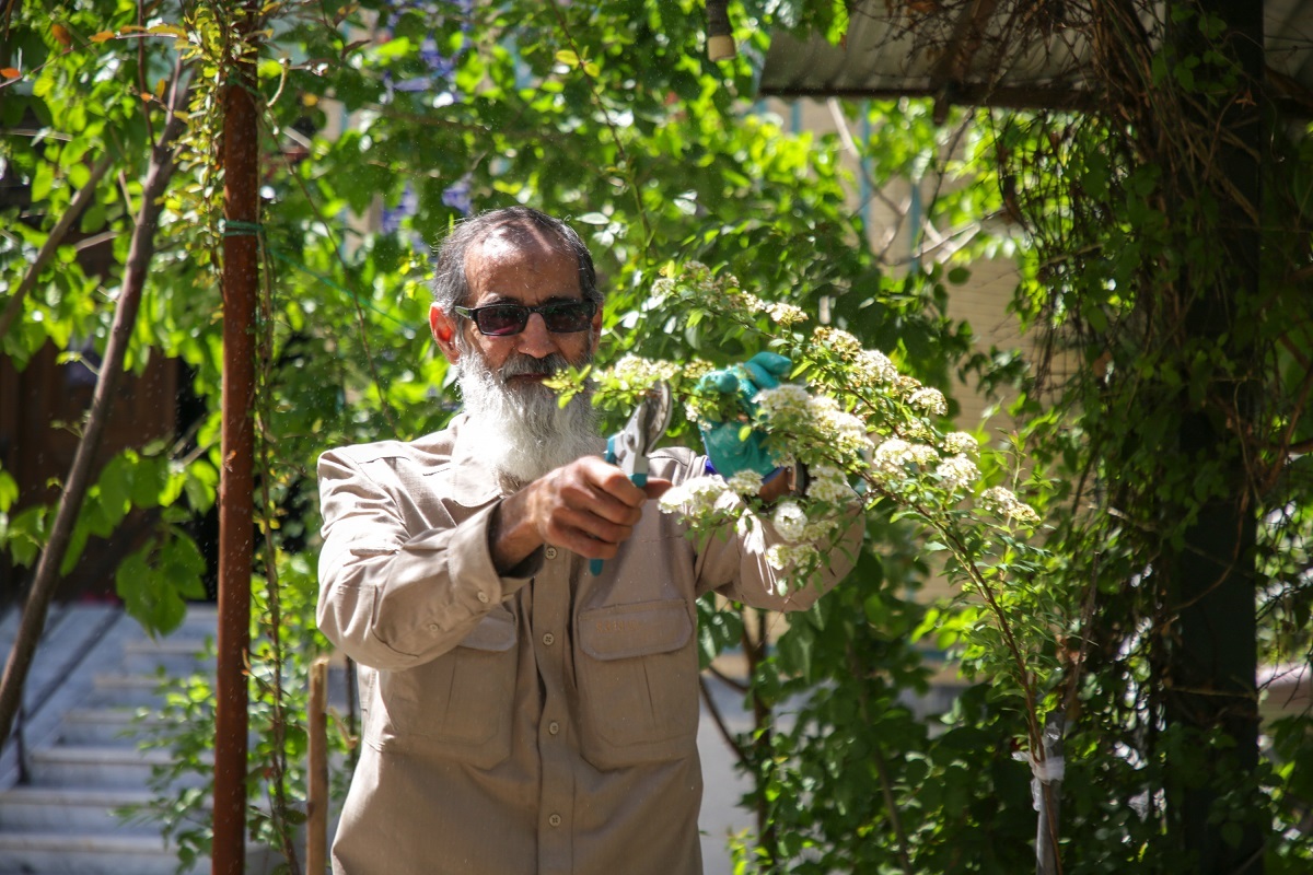 زندگی پر تکاپوی «باباعلی» زندگی پر تکاپوی «باباعلی»