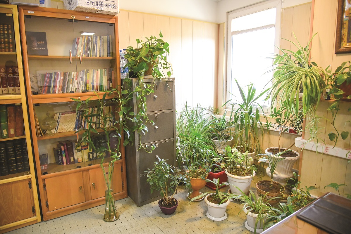 کارمند سبـز کارمند سبـز