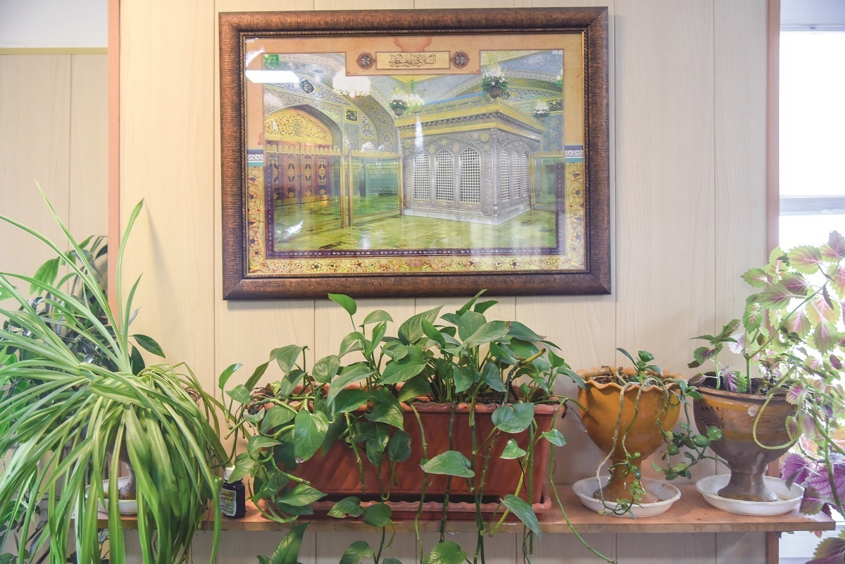 کارمند سبـز کارمند سبـز