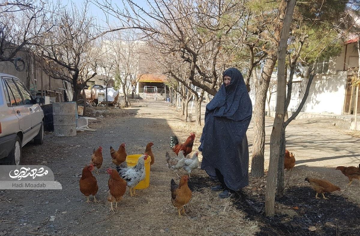 زندگی روستایی خانواده رضوی در قلب بولوار شاهنامه زندگی روستایی خانواده رضوی در قلب بولوار شاهنامه