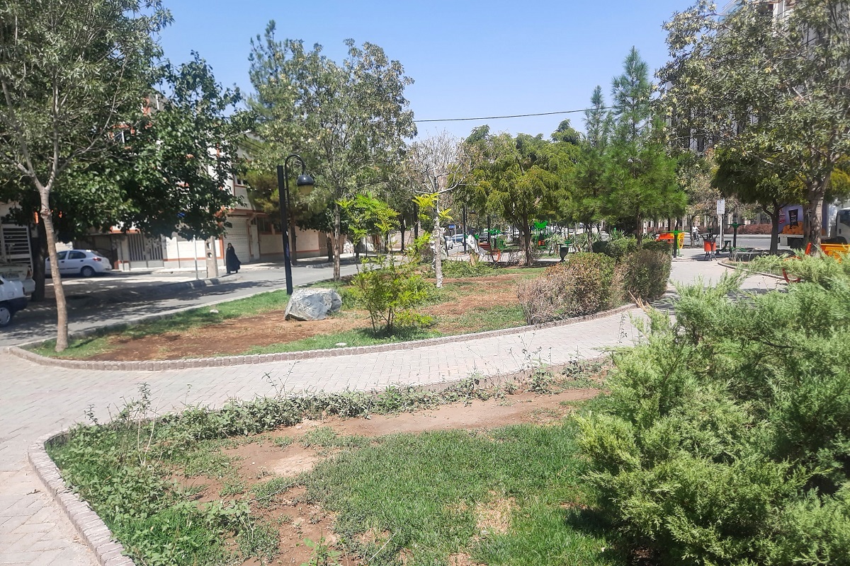 کوچه خوش آب و هوای محله انقلاب