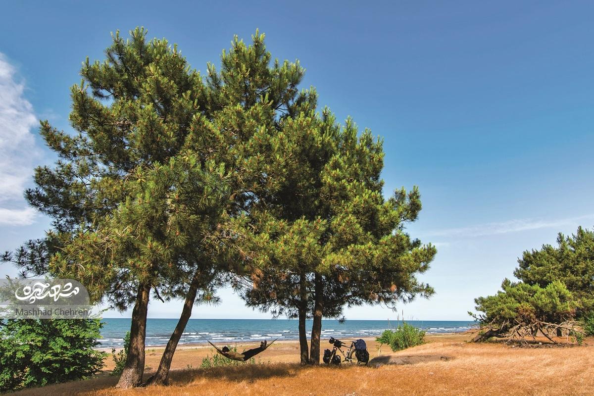 همه در سفر پول خرج میکنند، «امین جوشش» از سفرهایش پول درمیآورد همه در سفر پول خرج میکنند، «امین جوشش» از سفرهایش پول درمیآورد