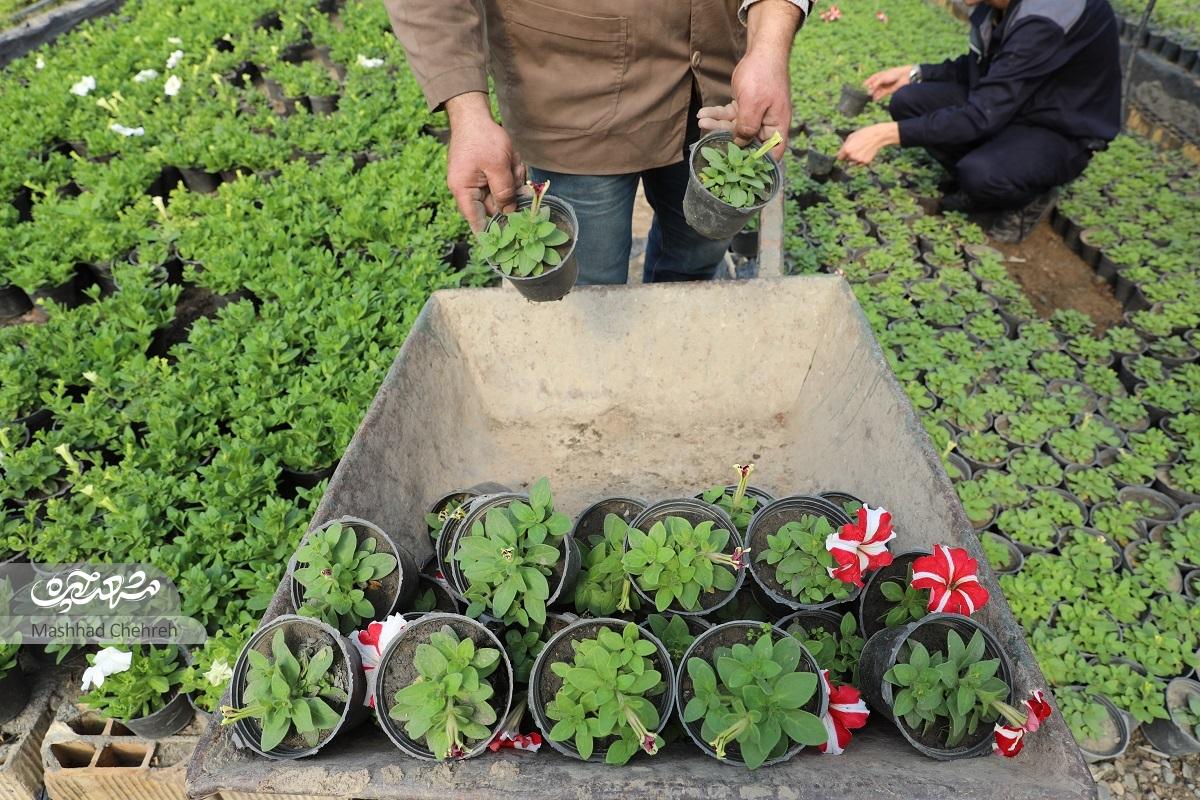 نجات صنعت کشاورزی با آموزش آکادمیک در هنرستان کشاورزی شهید یوسفی