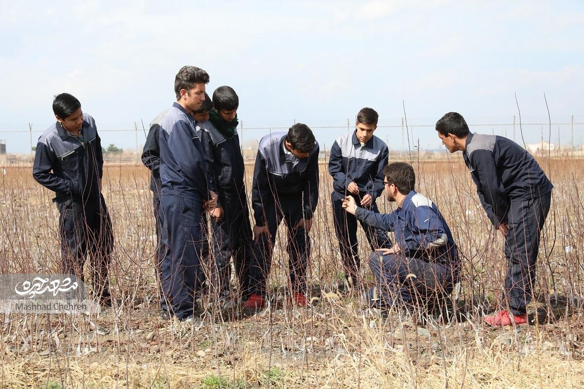 نجات صنعت کشاورزی با آموزش آکادمیک در هنرستان کشاورزی شهید یوسفی